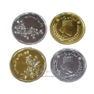 سکه بزرگ پلاستیکی (30 عددی)